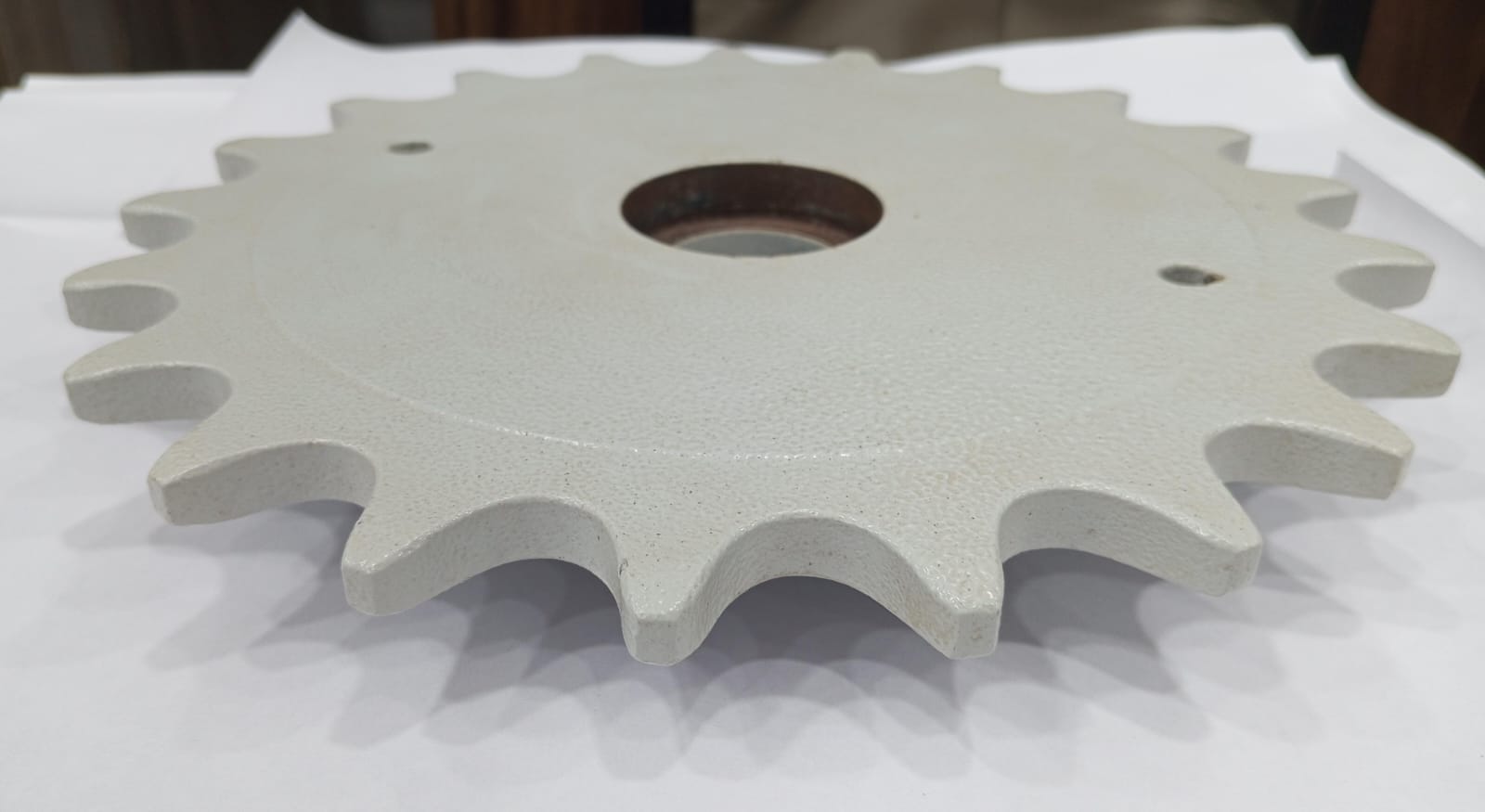 RS100-1B-21T Simplex Sprocket for Z-Elevator Conveyor