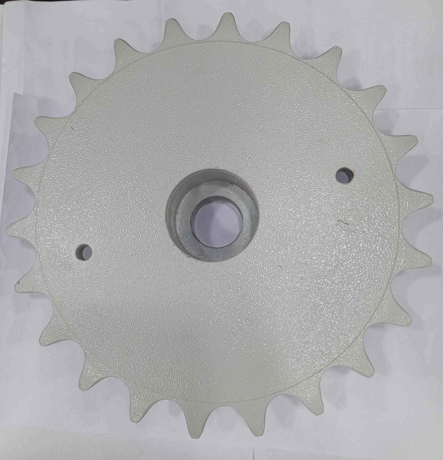 RS100-1B-22T Simplex Sprocket for Z-Elevator Conveyor
